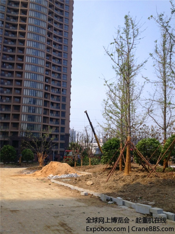 IMG_1611_副本.jpg