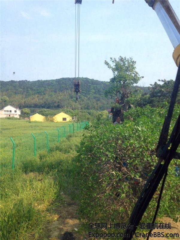 IMG_1513 (1)_副本.jpg