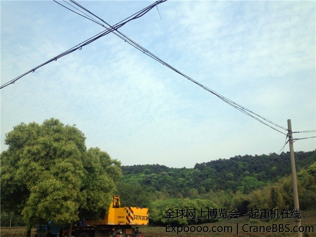 IMG_1515_副本.jpg