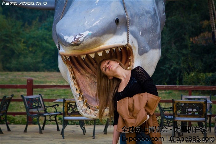 500_77dc_d9a3a61d_d9a3a61d.jpg