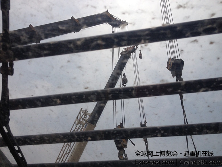 手机照片8 011_副本.jpg