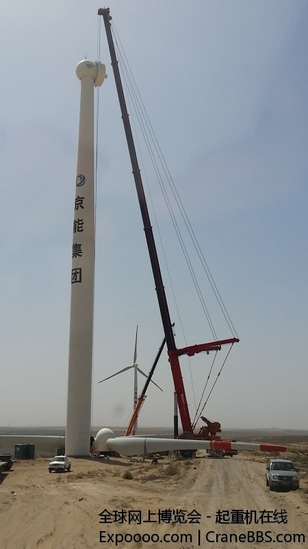 红色大臂迎风起