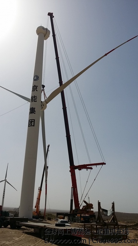 轻提扇叶犹如泥