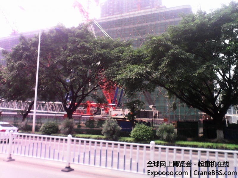 IMG_20140613_101305.jpg