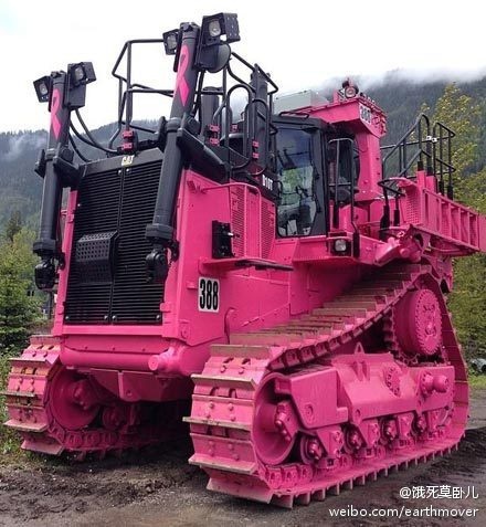 粉红D11T.jpg