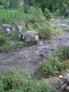 IMG0499A.jpg