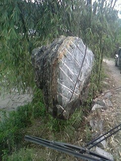 IMG0502A.jpg