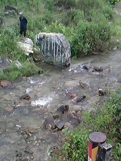 IMG0504A.jpg