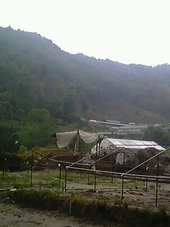 IMG0509A.jpg