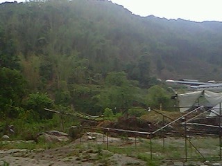IMG0510A.jpg