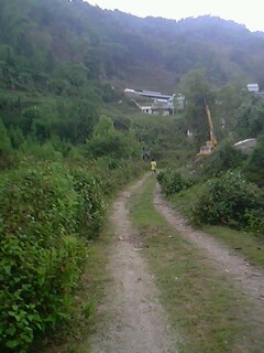 IMG0511A.jpg