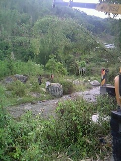 IMG0506A.jpg