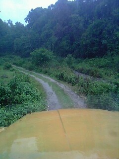 IMG0528A.jpg