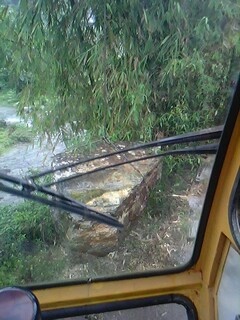 IMG0529A.jpg