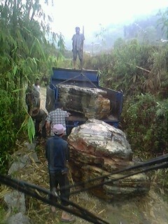 IMG0530A.jpg