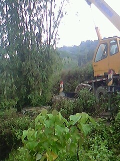 IMG0514A.jpg