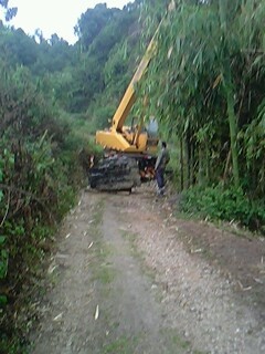 IMG0515A.jpg