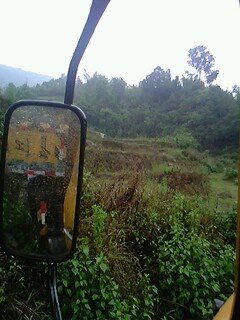 IMG0524A.jpg