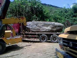 IMG0564A.jpg