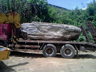 IMG0565A.jpg