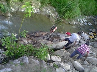 IMG0570A.jpg