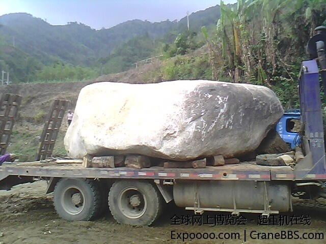 IMG0601A.jpg