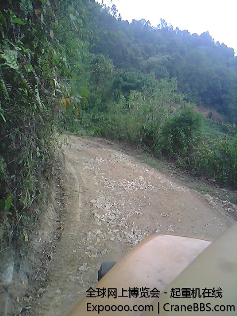 IMG0603A.jpg