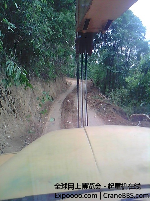 IMG0604A.jpg
