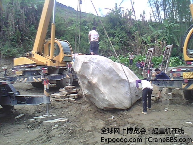 IMG0596A.jpg