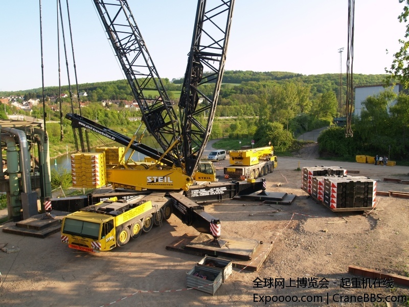 tc03gf9.jpg
