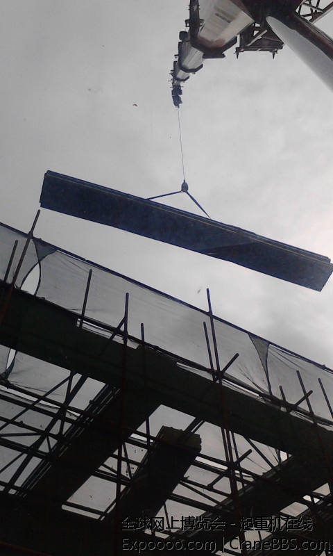 SF偷懒去上网我来搞