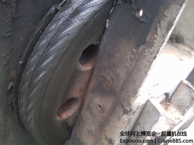 IMG00642-20110705-1131.jpg