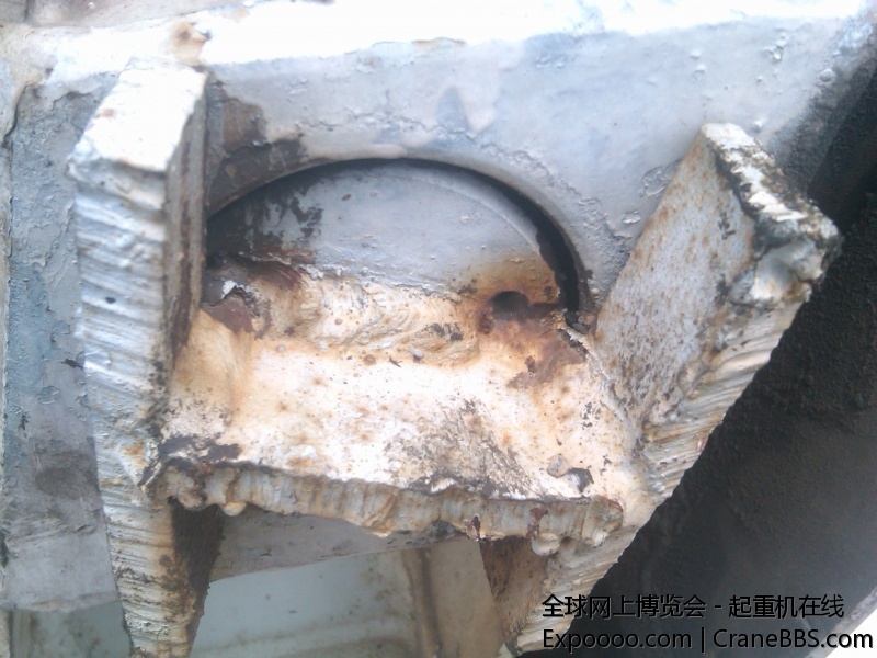 IMG00643-20110705-1131 - 副本.jpg