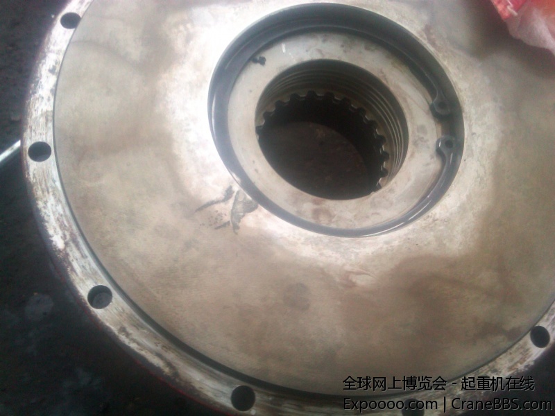 IMG00849-20110719-1653.jpg