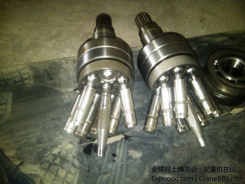 IMG00984-20110723-1529.jpg