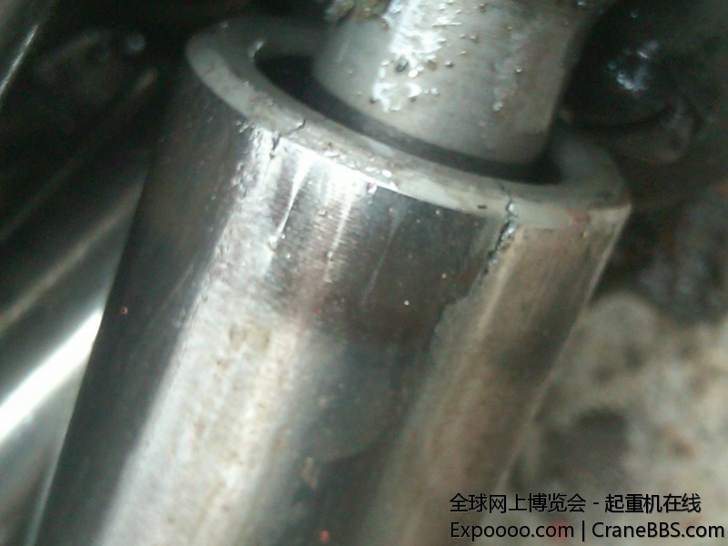 IMG00814-20110718-1637.jpg