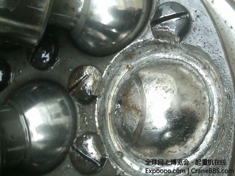 IMG00818-20110718-1638.jpg