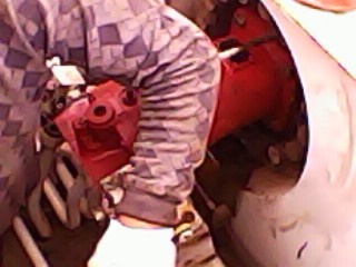 IMG0054A.jpg