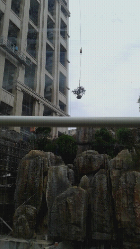 20150424_091858.jpg