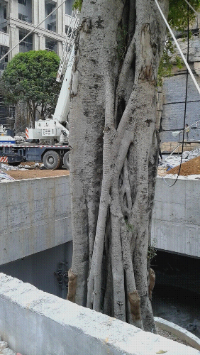 20150424_070150.jpg