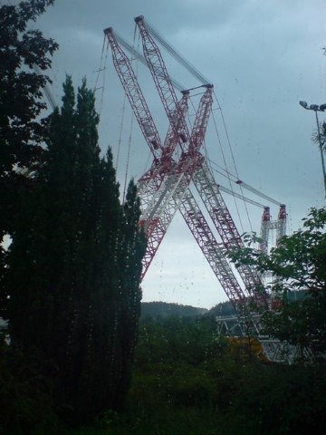 DSC08256_jpg.jpg