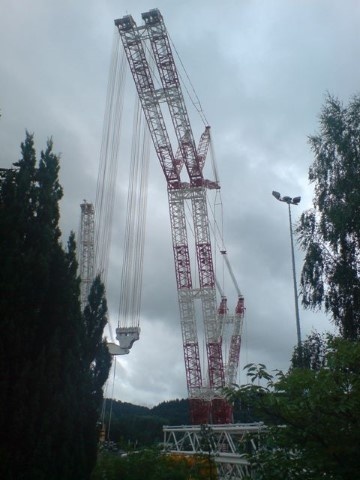 DSC08285_jpg.jpg