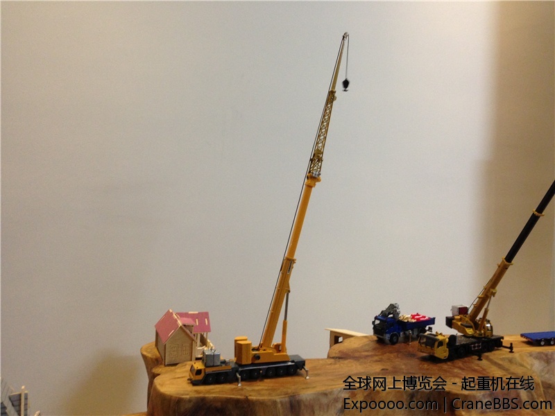 IMG_2595.jpg