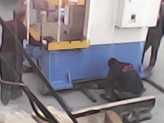 IMG0081A.jpg
