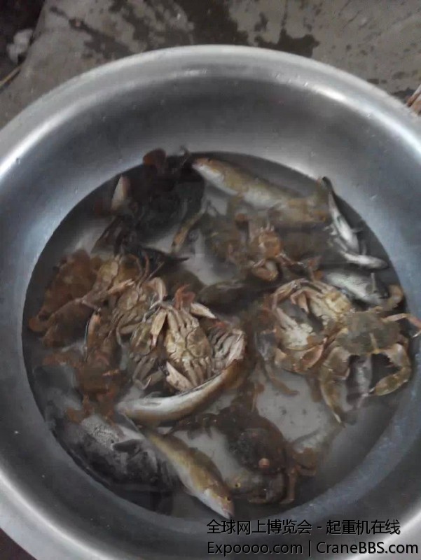 今天的收成不错