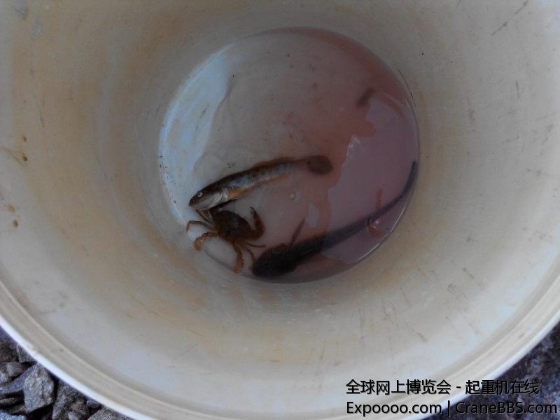 就这么点收成