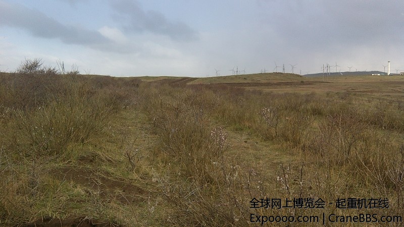勃勃生机