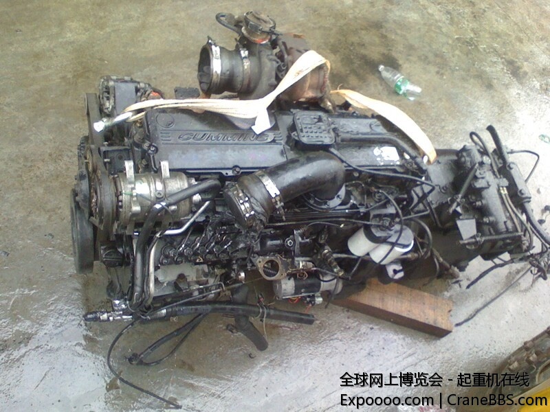 IMG0604164801.jpg