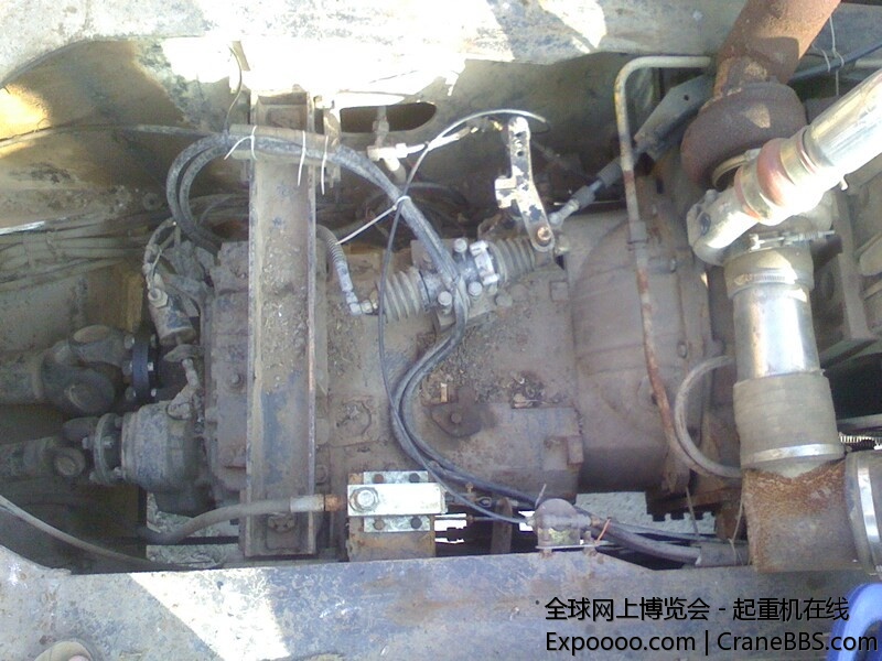 IMG0606074203.jpg