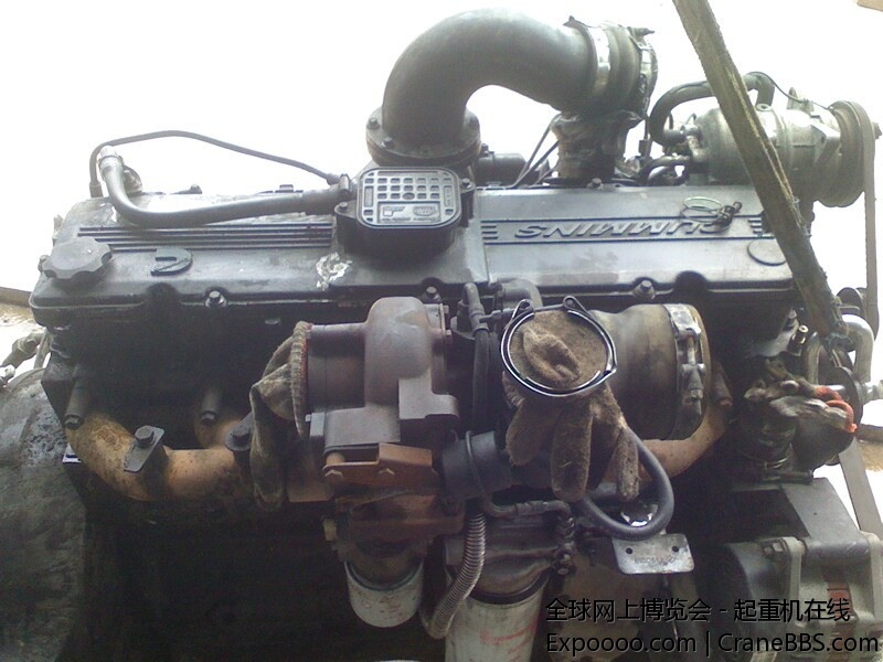 IMG0606131501.jpg